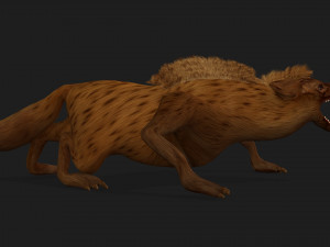 HyenasA4 3D Model