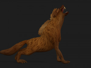 HyenasA4 3D Model