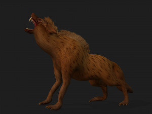 HyenasA4 3D Model