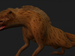 HyenasA4 3D Model