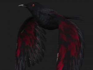 RavenA1 3D Model