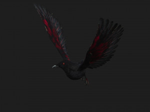 RavenA1 3D Model