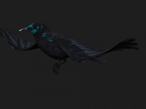 RavenA2 3D Model