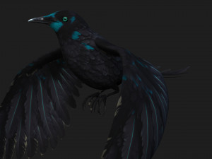 RavenA2 3D Model