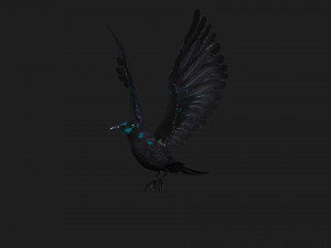 RavenA2 3D Model