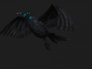RavenA2 3D Model