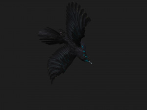 RavenA2 3D Model