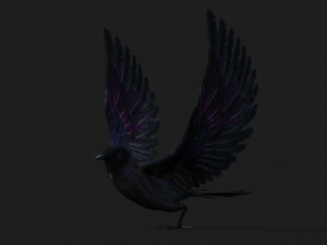 RavenA3 3D Model