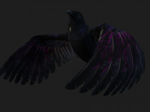 RavenA3 3D Model