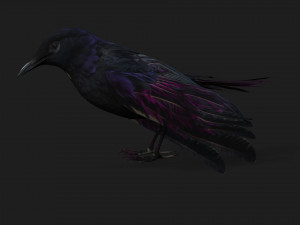 RavenA3 3D Model