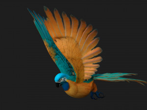 ParrotA1 3D 模型