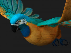 ParrotA1 3D 模型