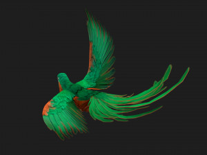 ParrotA2 Modelo 3D