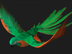 ParrotA2 Modelo 3D