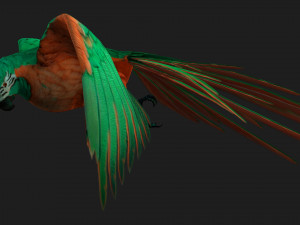 ParrotA2 Modelo 3D