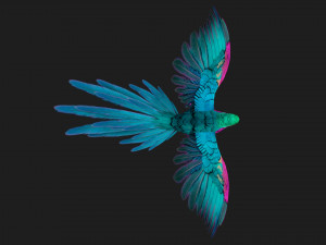 ParrotA3 3Dモデル
