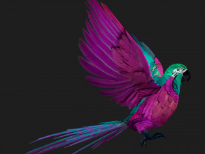 ParrotA3 3Dモデル