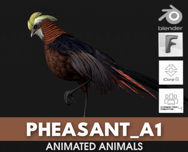PheasantA1 Modello 3D .c4d .max .obj .3ds .fbx .stl .blend 