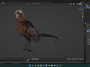 PheasantA1 Modello 3D