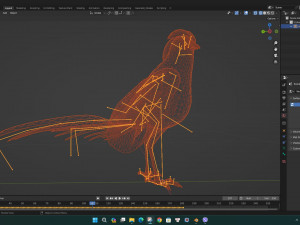 PheasantA1 Modello 3D