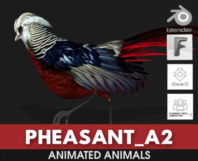 PheasantA2 Modello 3D .c4d .max .obj .3ds .fbx .stl .blend 