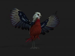 PheasantA2 Modello 3D
