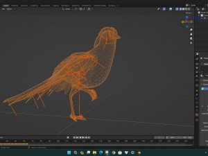 PheasantA2 Modello 3D