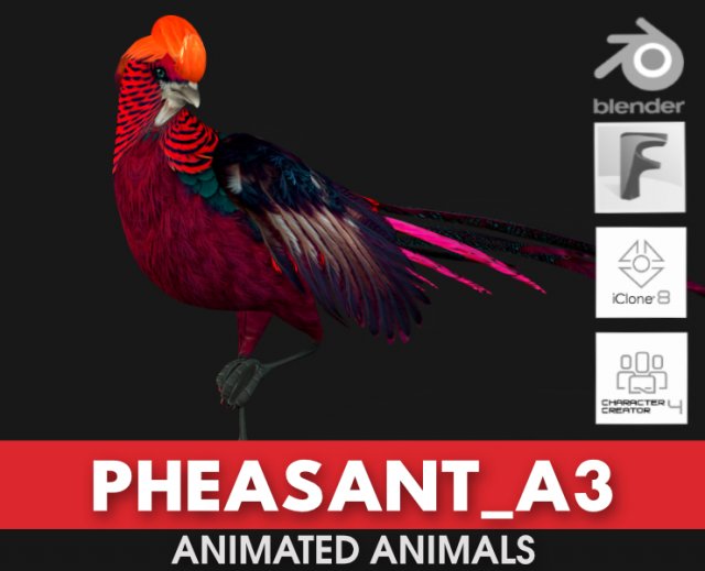 PheasantA3 3Dモデル .c4d .max .obj .3ds .fbx .stl .blend 