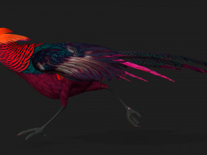 PheasantA3 3Dモデル