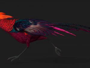 FagianoA3 Modello 3D