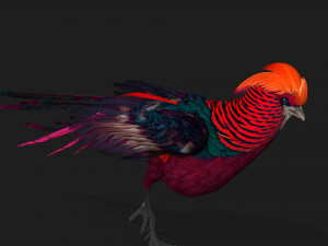 PheasantA3 3Dモデル