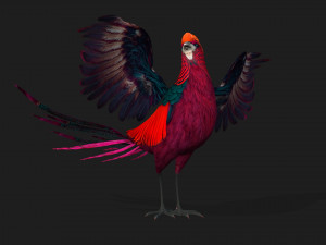 PheasantA3 3Dモデル