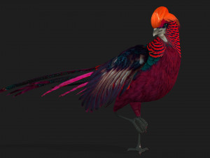 PheasantA3 3Dモデル