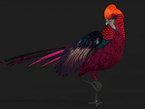 FagianoA3 Modello 3D