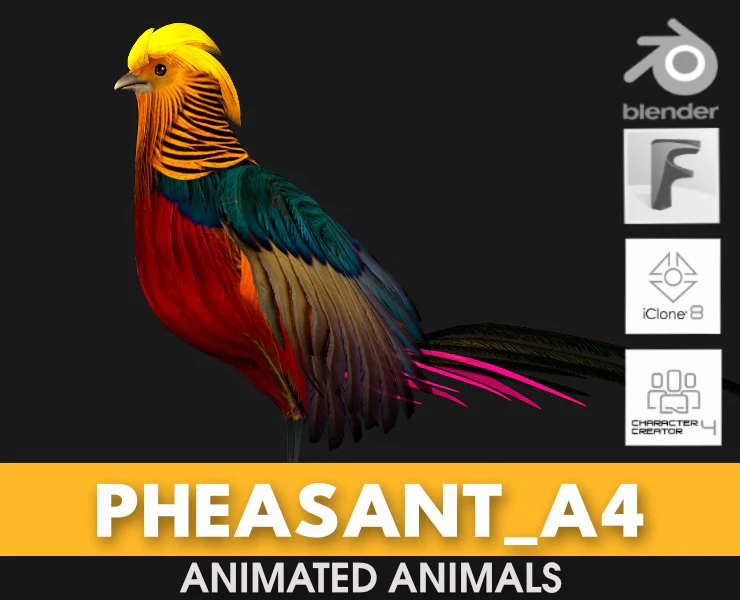 PheasantA4 3D Model .c4d .max .obj .3ds .fbx .stl .blend 