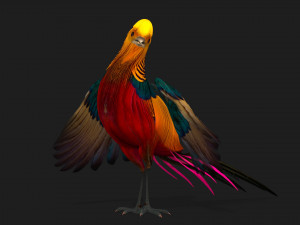 PheasantA4 3Dモデル