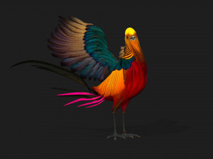 PheasantA4 3Dモデル