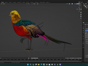 PheasantA4 3Dモデル