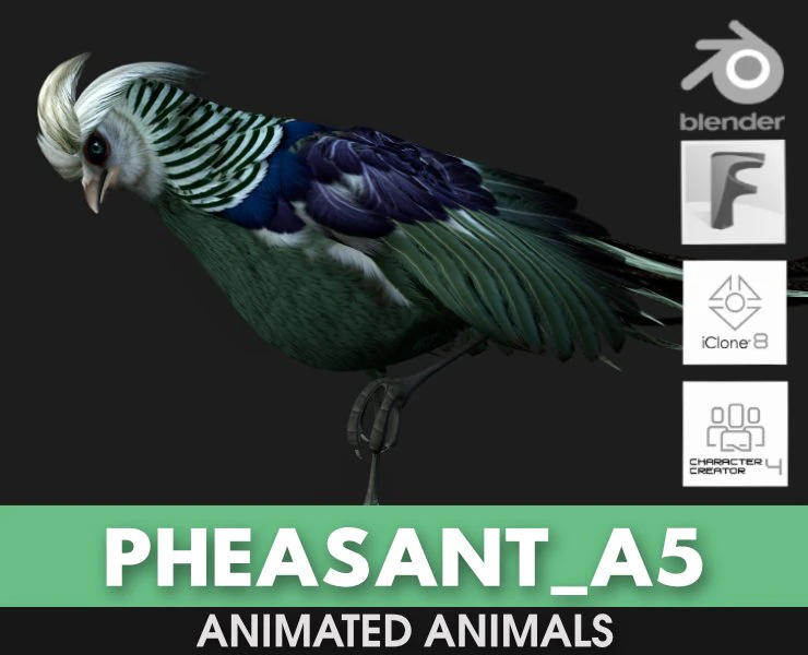 PheasantA5 3D Model .c4d .max .obj .3ds .fbx .stl .blend 