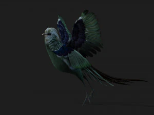 PheasantA5 3D Model