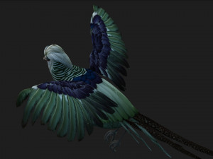 PheasantA5 3D-Modell