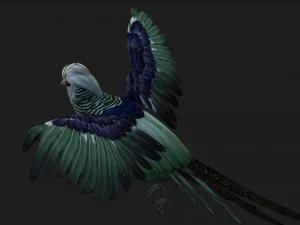 PheasantA5 3D Model