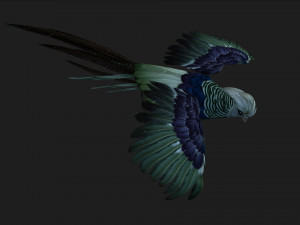 PheasantA5 3D-Modell