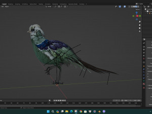 PheasantA5 3D-Modell