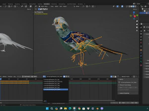 PheasantA5 3D Model