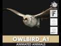OwlBirdA1 3D Model