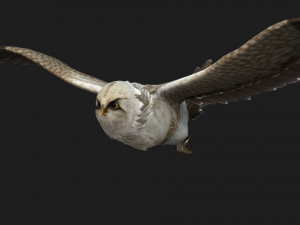 OwlBirdA1 Model 3D