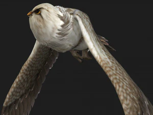 GufoUccelloA1 Modello 3D