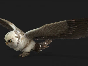 GufoUccelloA1 Modello 3D