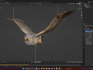 GufoUccelloA1 Modello 3D